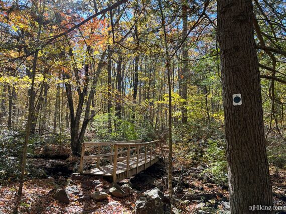 Wooden footbridge near a tree with a trail marker.