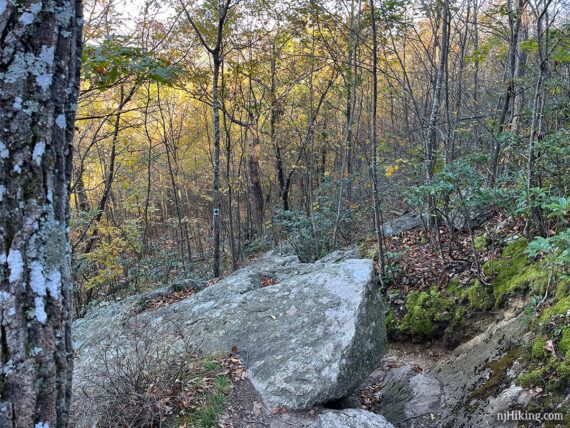 Rocky trail going downhill.