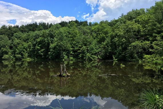 Cliff Park, Milford Knob, Hackers Falls | njHiking.com