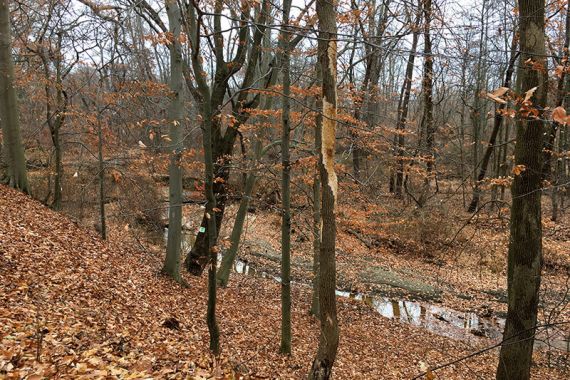 Holmdel Park – Ramanessin and Bayonet Farm | njHiking.com